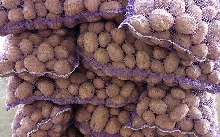 Картошка кортофел - фото № 1