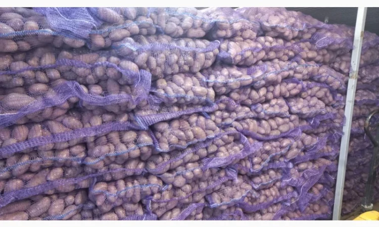 Продам картофель отличного качества - фото № 5