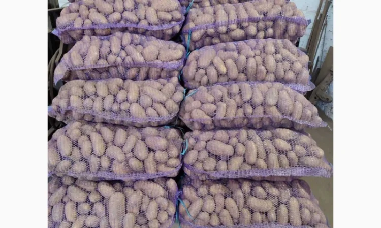 Продам картофель отличного качества - фото № 1