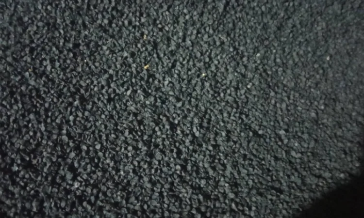 Продам семена лука Штутгарт - фото № 4