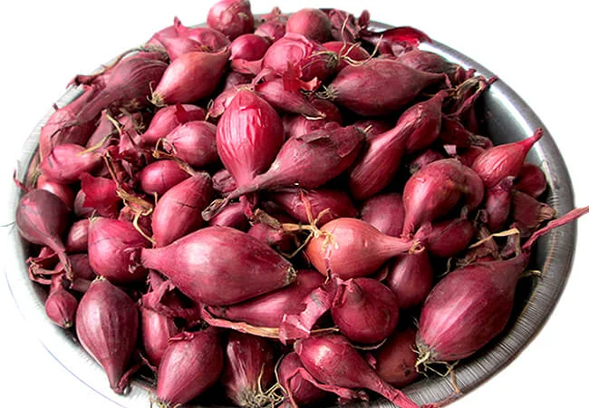 Продам лук-севок Ред Барон - фото № 1