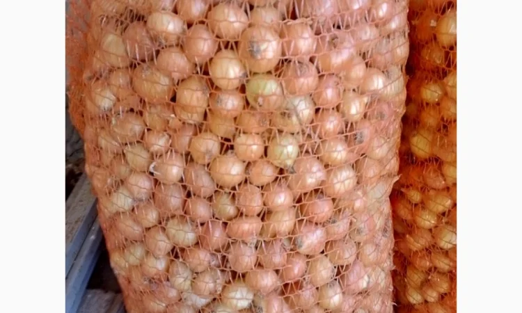 Продается лук-севок - фото № 10