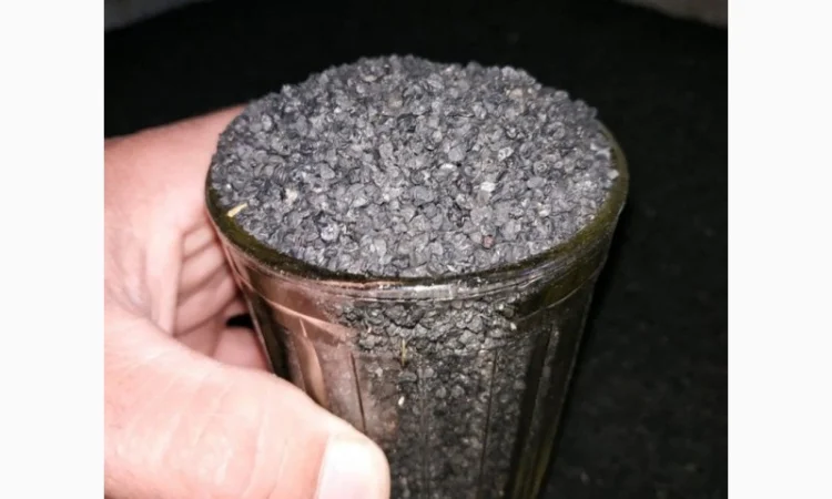 Семена ялтинского лука - фото № 2