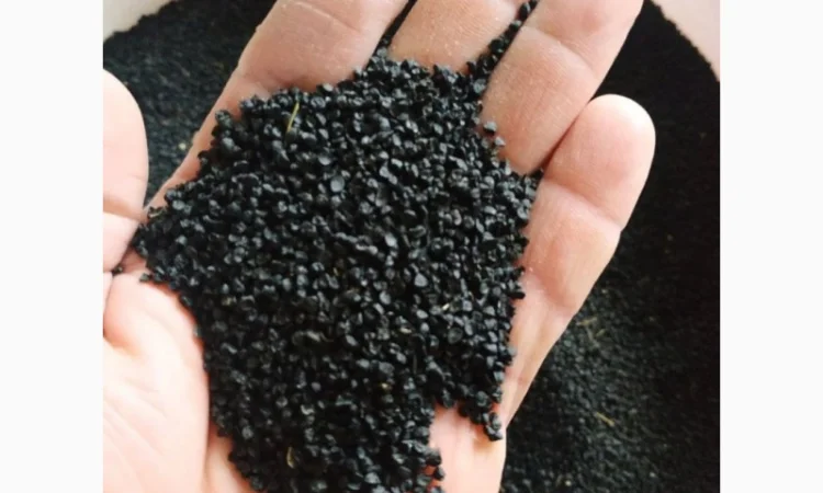 Семена ялтинского лука - фото № 3