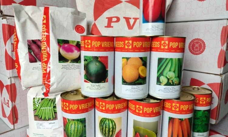 Насіння Морква столова Шантане Нантес Берлікум Флакке - фото № 1