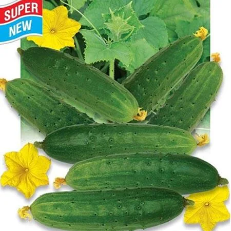 Продам семена Огурец Бутон лотоса F1 - фото № 1