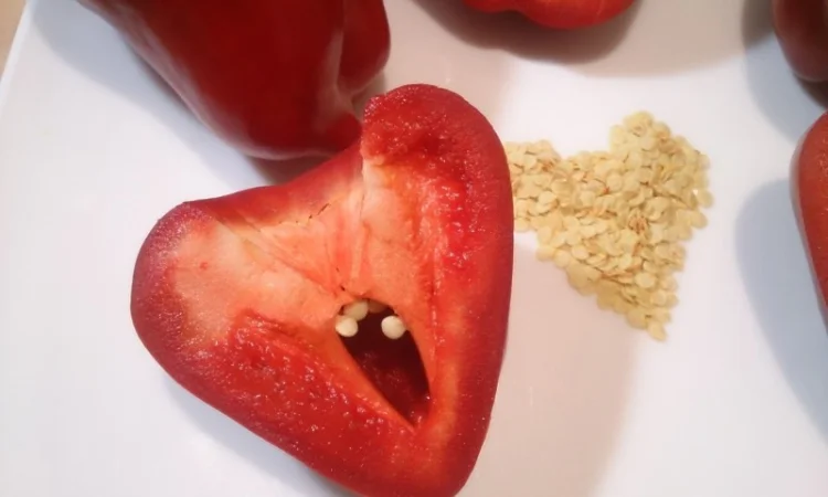 Семена толстостенного сладкого перца Микс - фото № 1