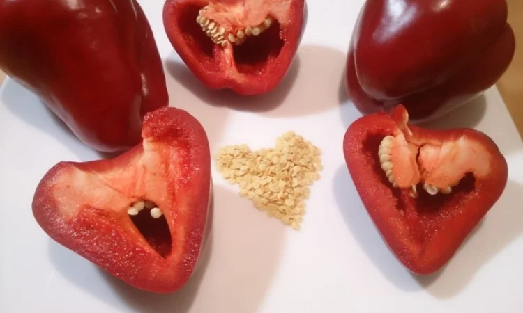 Семена толстостенного сладкого перца Микс - фото № 2