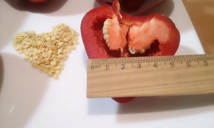 Семена толстостенного сладкого перца Микс - фото № 3