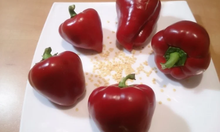 Семена толстостенного сладкого перца Микс - фото № 4