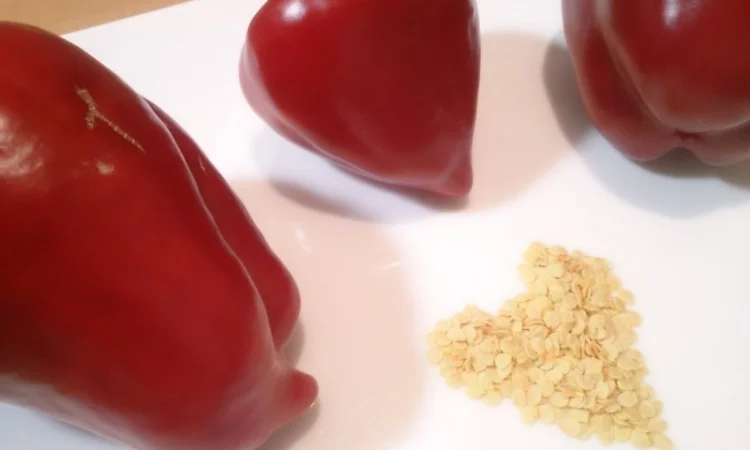 Семена толстостенного сладкого перца Микс - фото № 6