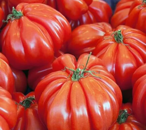 Семена томатов из частной коллекции - фото № 2