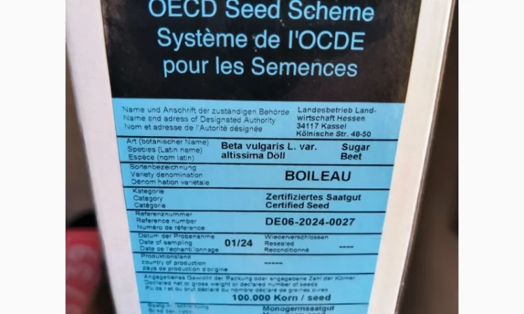 БУАЛО - насіння цукрового буряка Штрубе - фото № 1