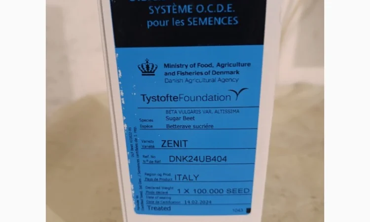 ЗЕНІТ - Насіння цукрового буряку з високим виходом цукру з гектару - фото № 4