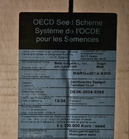 Концертіна КВС – насіння цукрового буряка - фото № 2