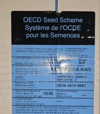 Концертіна КВС – насіння цукрового буряка - фото № 3