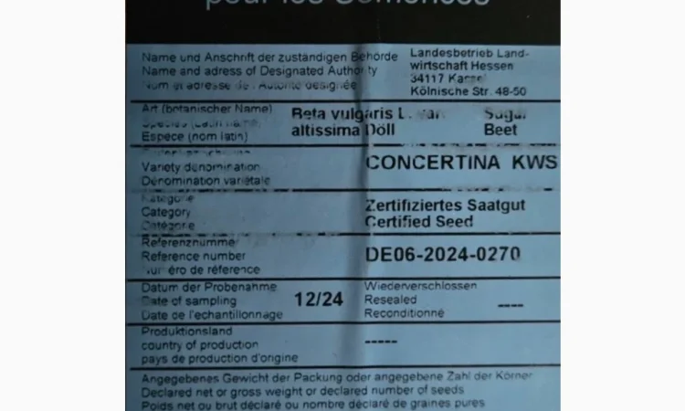 Концертіна КВС – насіння цукрового буряка - фото № 4