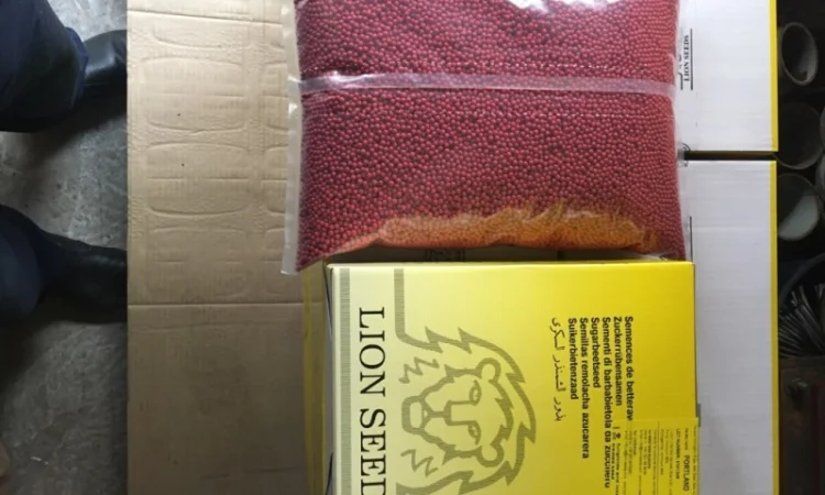 Портланд - насіння буряка цукрового від Лаєн Сідс - фото № 1