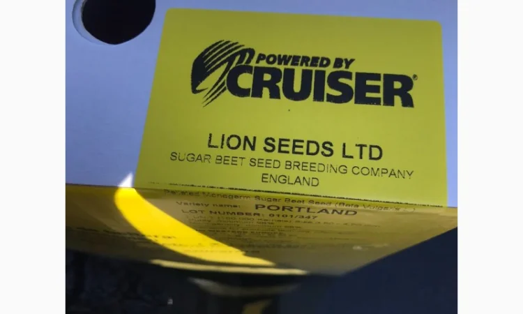 Портланд - насіння буряка цукрового від Лаєн Сідс - фото № 3