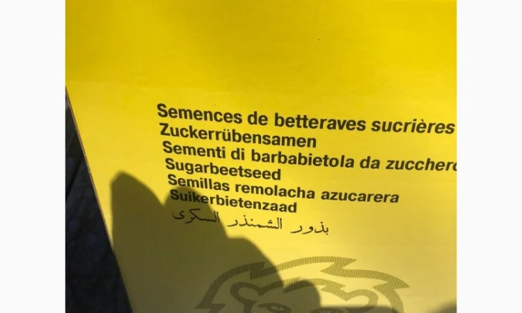Портланд - насіння буряка цукрового від Лаєн Сідс - фото № 4