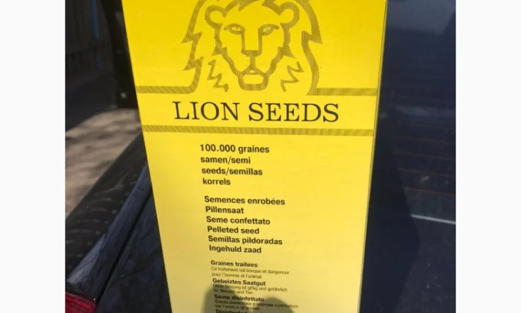 Портланд - насіння буряка цукрового від Лаєн Сідс - фото № 5