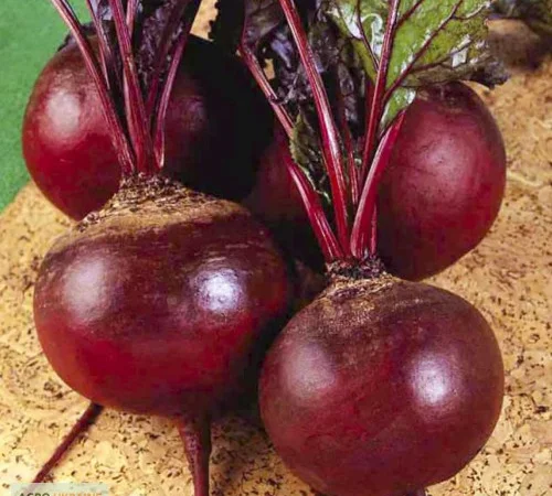 Семена Свекла Детройт - фото № 1