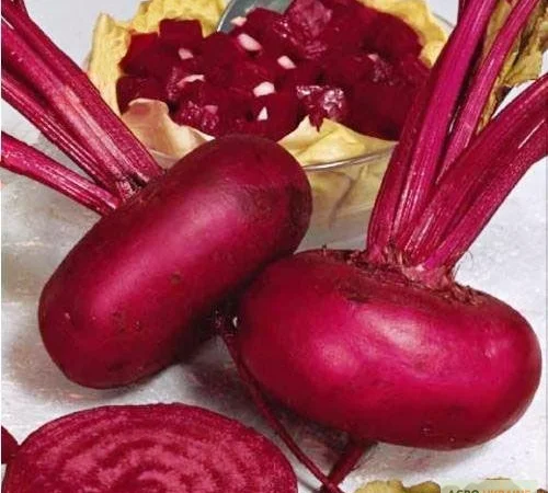 Пропонується насіння буряка Египос - фото № 1