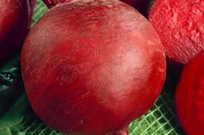 Продам семена Свекла Красный Шар - фото № 1