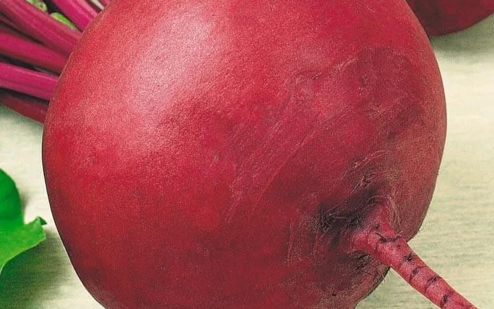 Продам семена Свекла Несравненная А-463 - фото № 1