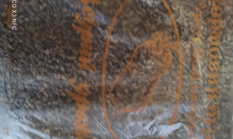 Продам насіння кормового буряка урсус полі - фото № 3