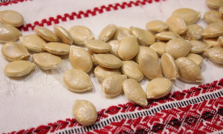 Семена тыквы Розовый фламинго на посадку - фото № 1