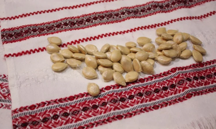 Семена тыквы Розовый фламинго на посадку - фото № 2