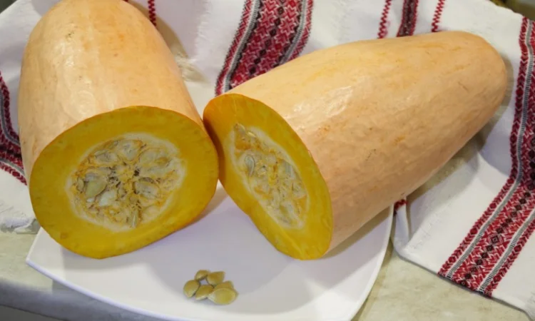 Семена тыквы Розовый фламинго на посадку - фото № 3