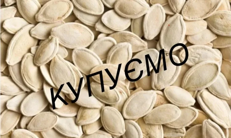 Купуємо насіння гарбуза гарбузове насіння - фото № 1