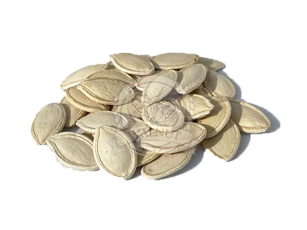 Підприємство купить насіння гарбуза різних сортів - фото № 1