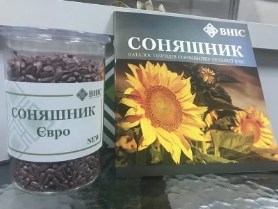 Насіння соняшник Євро, гібрид селекції ВНІС - фото № 1