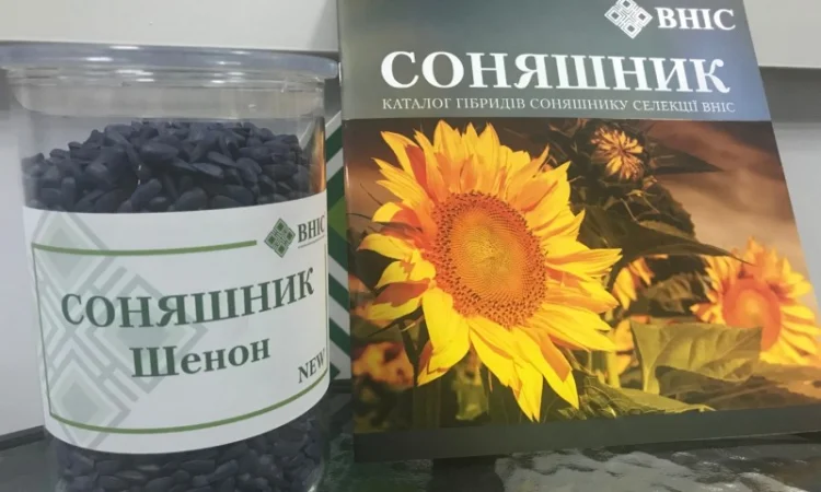 Насіння соняшника Шенон (під Гранстар) - фото № 1