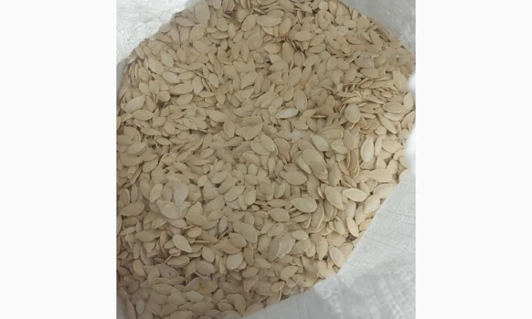 Гарбузове насіння Українка багатоплідна - фото № 1