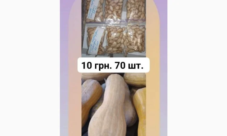 Кашові солодкі гарбузи, сімена, насіння 70 шт. 10 грн - фото № 1