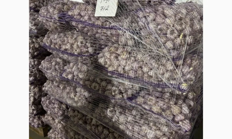 Товарний часник - фото № 6