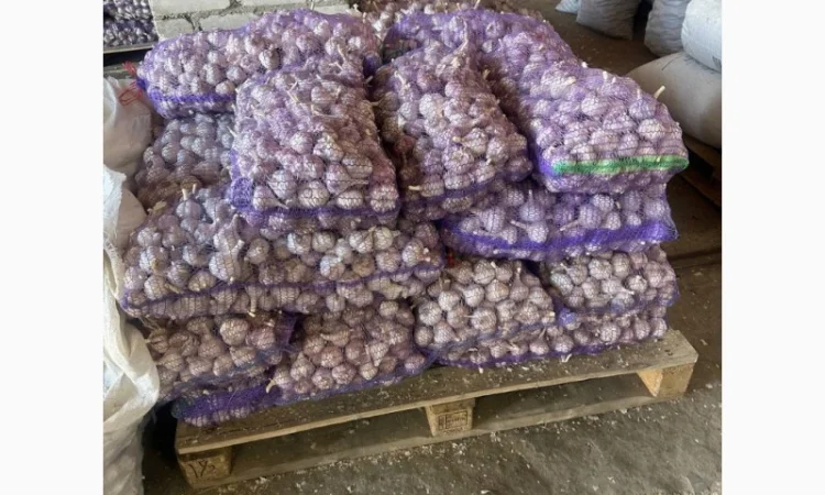 Товарный чеснок оптом 5/10/20 тонн - фото № 1