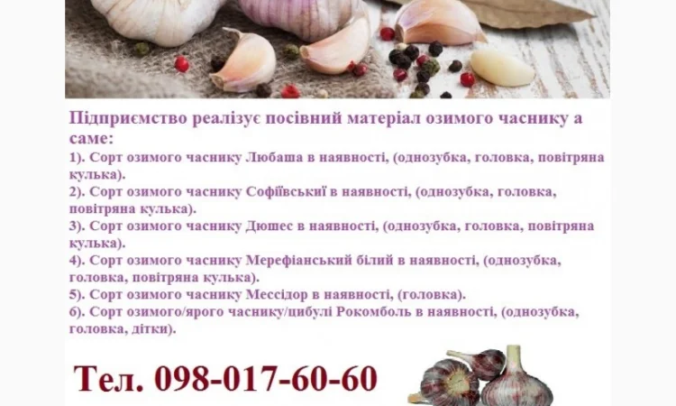 Семена озимого чеснока на посадку - фото № 11