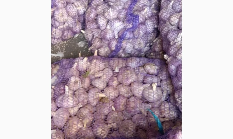 Закупка чеснока фракция 6+++ - фото № 1