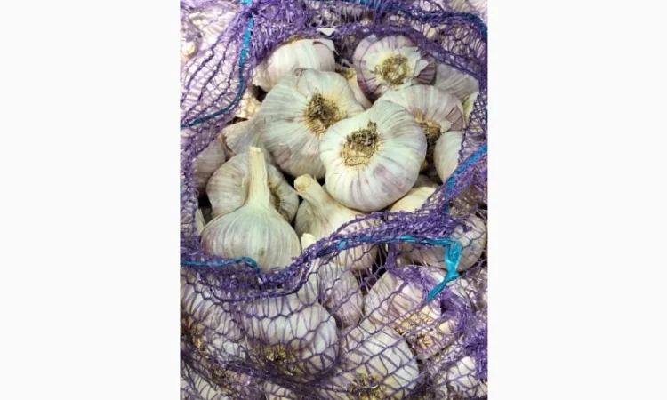 Покупка чесноку фракція від 4 - фото № 1