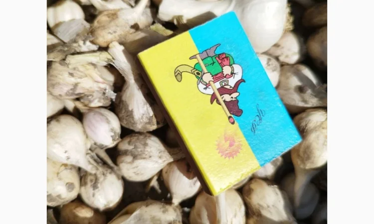 Продаж часнику озимого великого для посадки - фото № 4