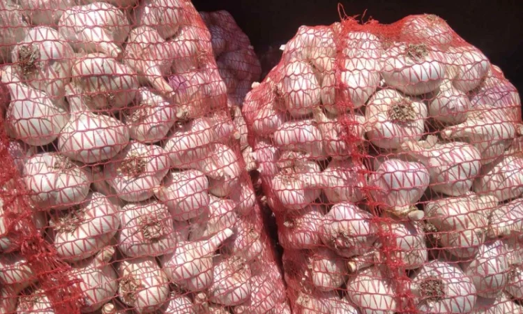 Куплю чеснок всех фракций и переработка - фото № 1