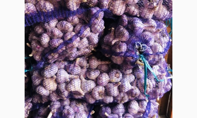 Закупівля чесноку в Полтаві - фото № 1