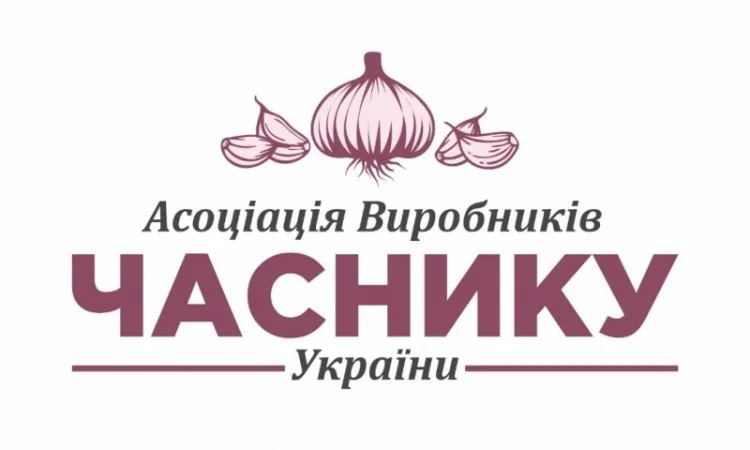 Продаємо часник на експорт - фото № 2