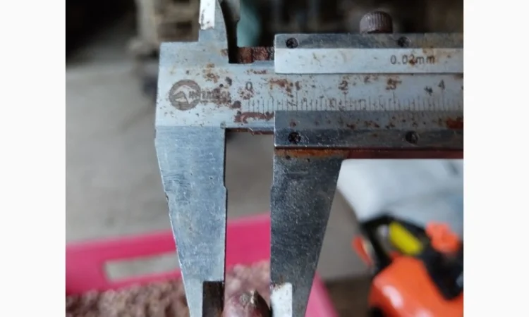 Продажа товарного чеснока сорта Любоша - фото № 5