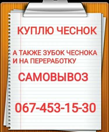Покупка чесноку в Полтаві - фото № 1